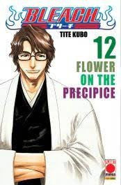 Bleach 12 - Iv Ristampa