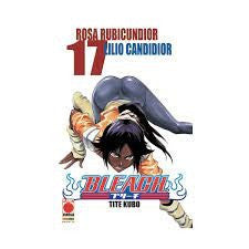 Bleach 17