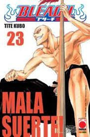 Bleach 23
