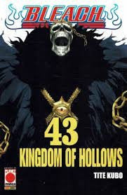 Bleach 43
