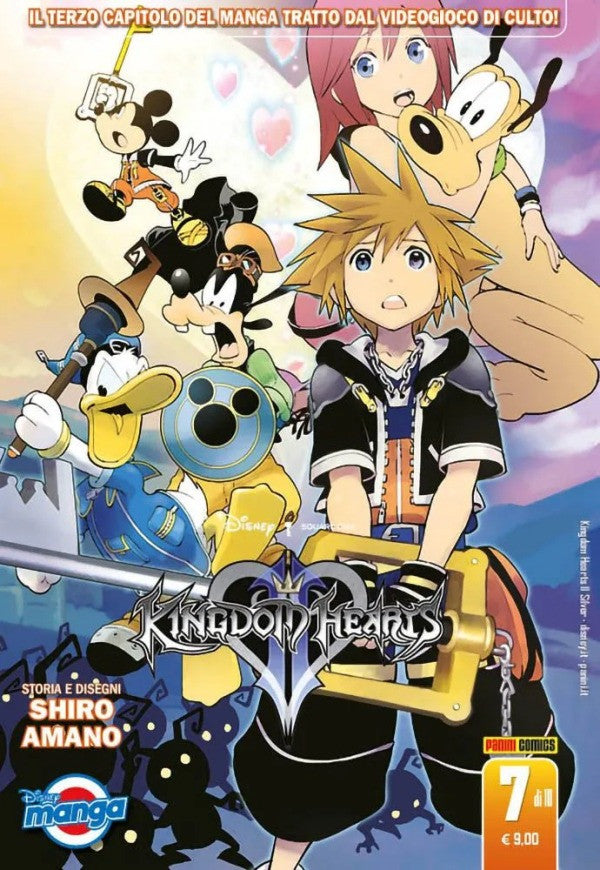 Kingdom Hearts Ii Silver 7