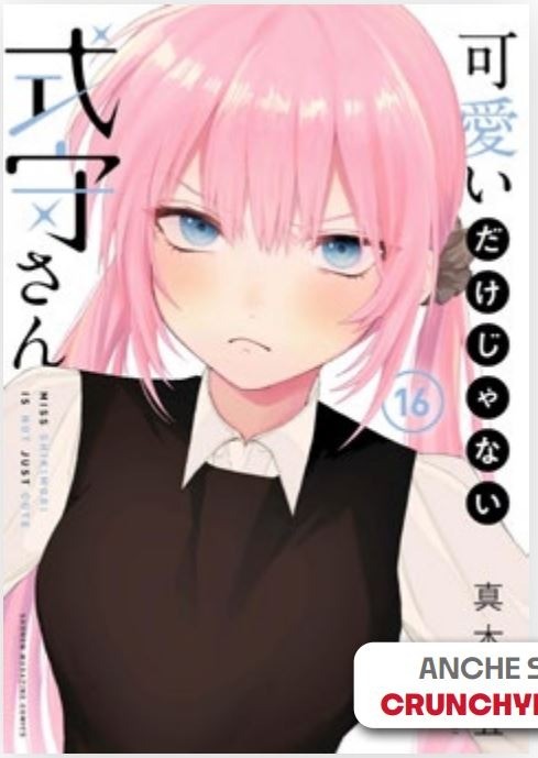 Shikimori’s Not Just a Cutie 16