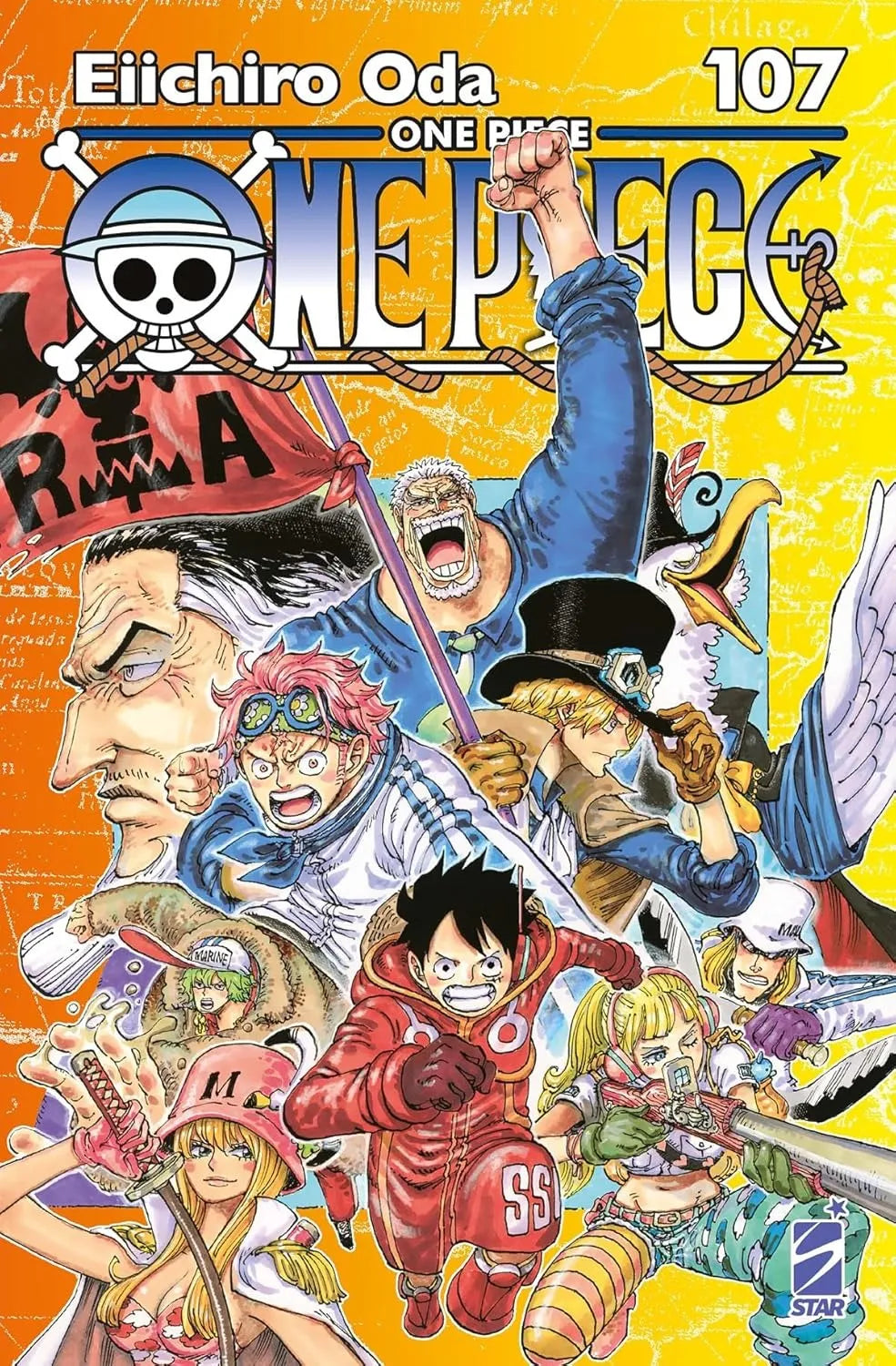 One Piece New Edition 107