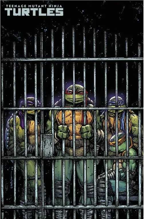 Teenage Mutant Ninja Turtles 11 - Variant di Kevin Eastman