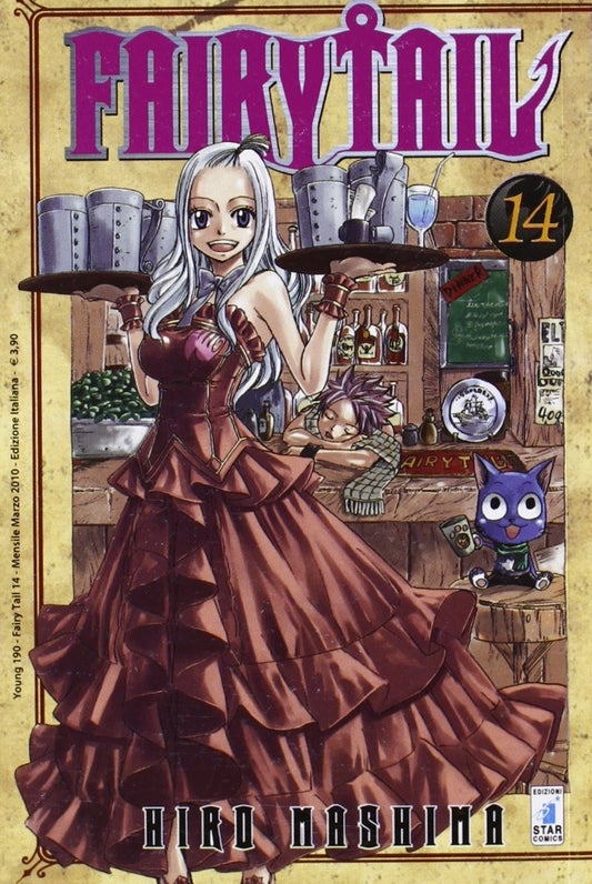 Fairy Tail 14