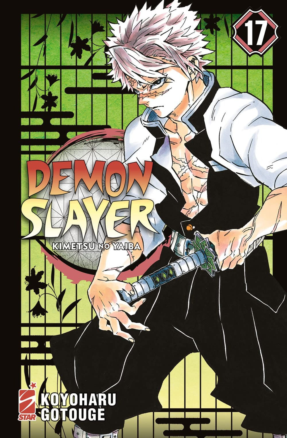 Demon Slayer - Kimetsu No Yaiba 17