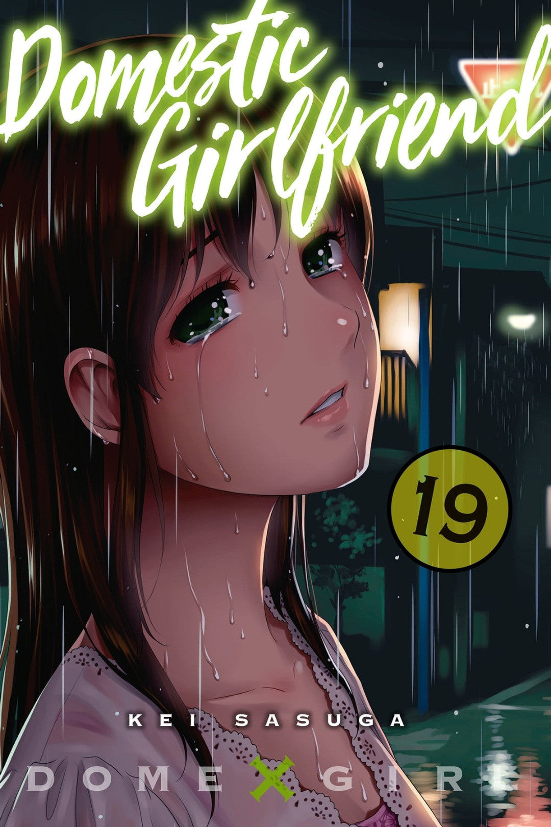 Domestic Girlfriend 19