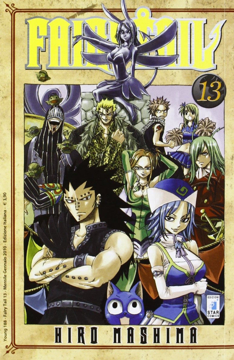 Fairy Tail 13