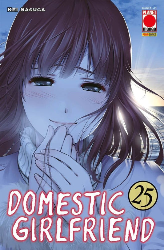 Domestic Girlfriend 25