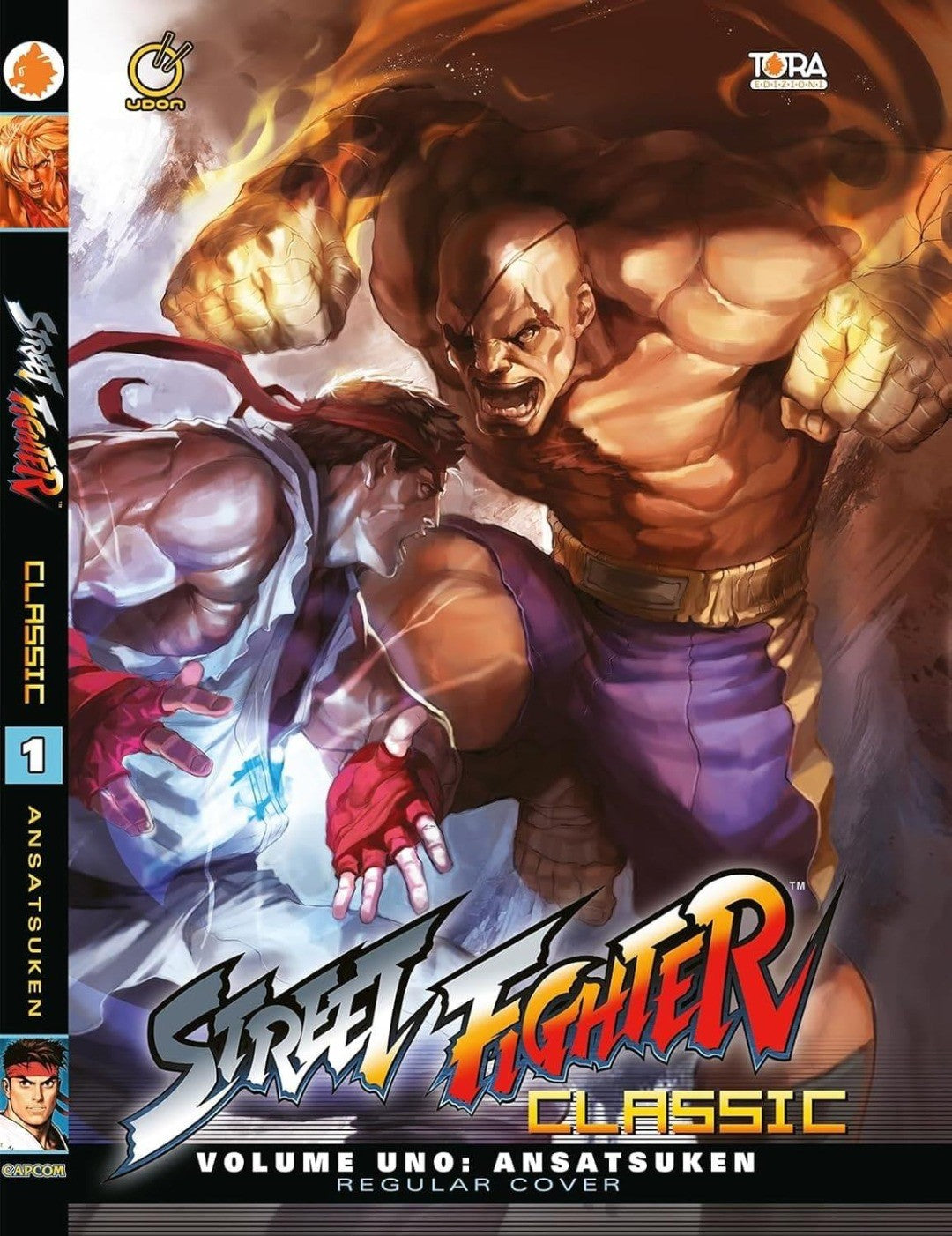 Street Fighter Classic 1