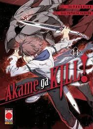 Akame Ga Kill! 14