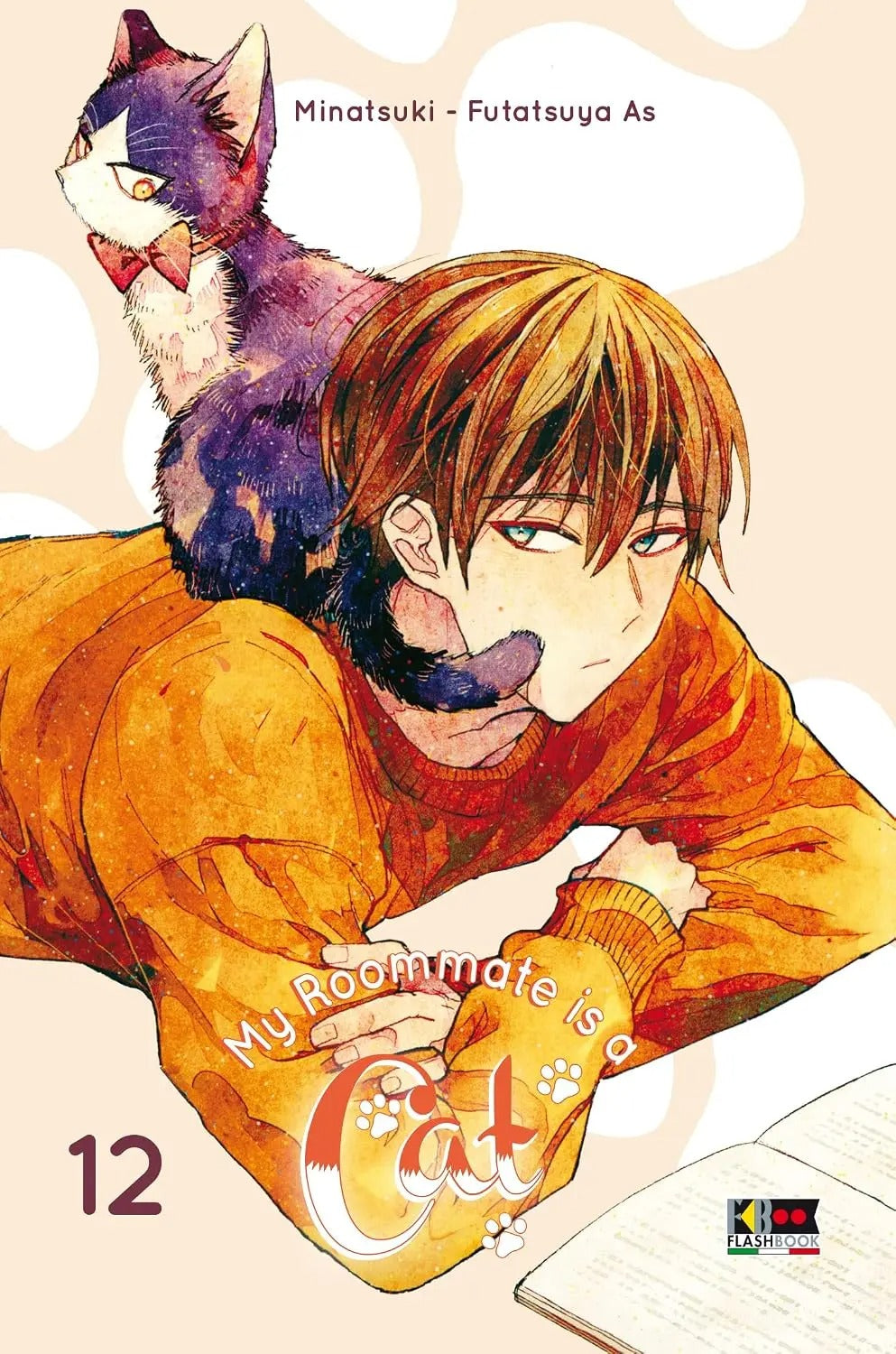 My Roommate is a Cat 12 - Flashbook